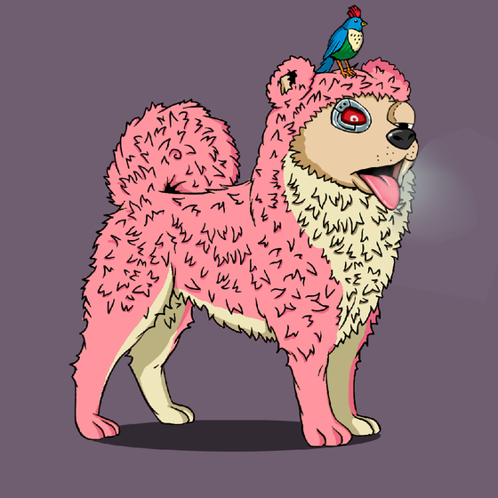 y00ts Canine Club #1998