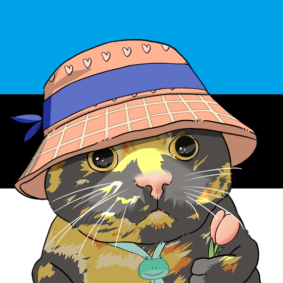 Puzzled cat #5012