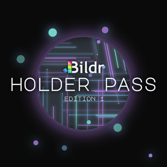 Bildr Holder Pass