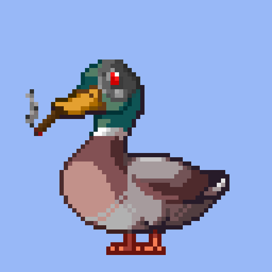 Mallard #2204