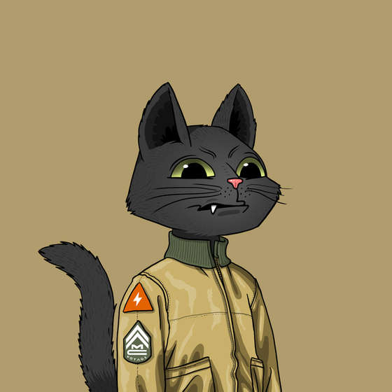 Mars Cat #5078