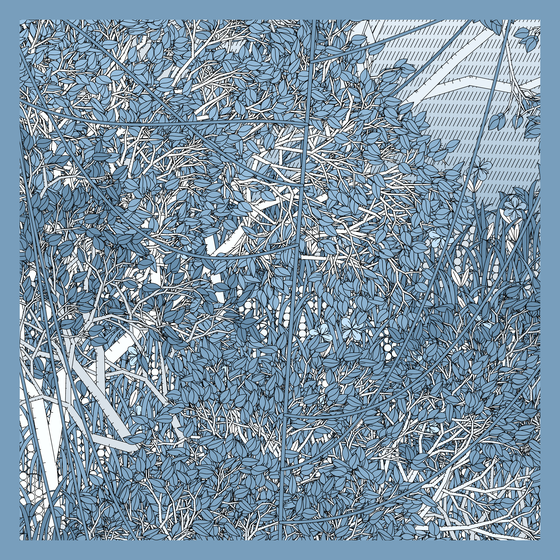 Entangled #374