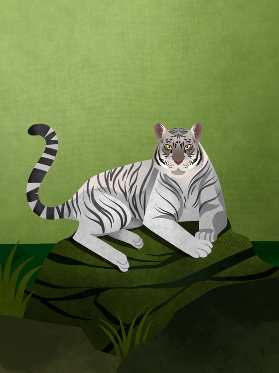 White Tiger