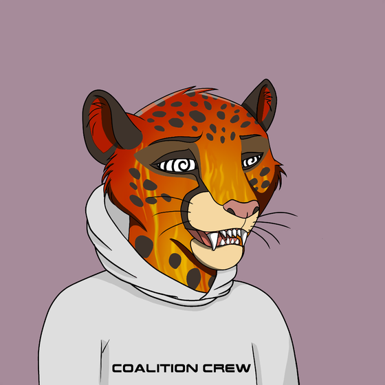 Coalition Crew 2.0 #2928