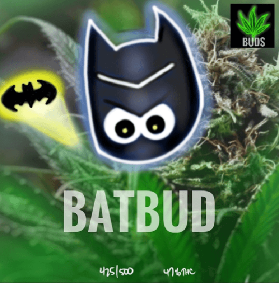 #425 BATBUD