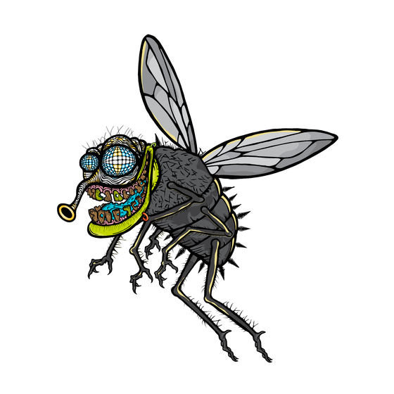 Funky Fly #2006