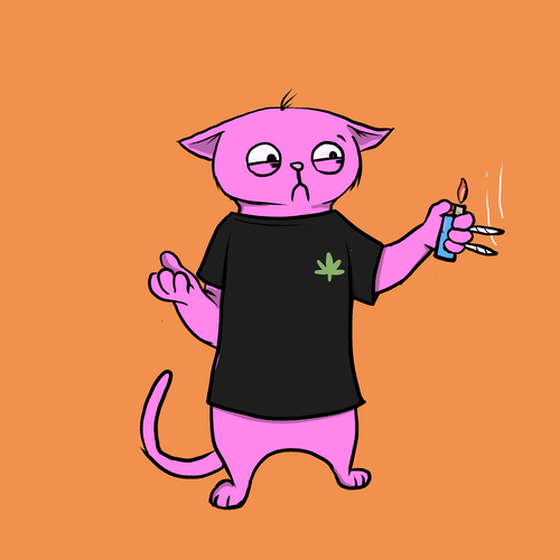 Blazed Cat #30