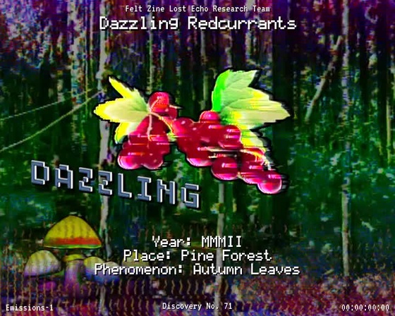 #71 | Dazzling Redcurrants