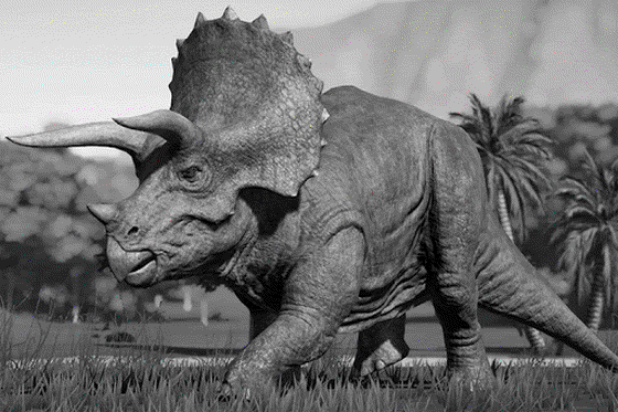 Triceratops