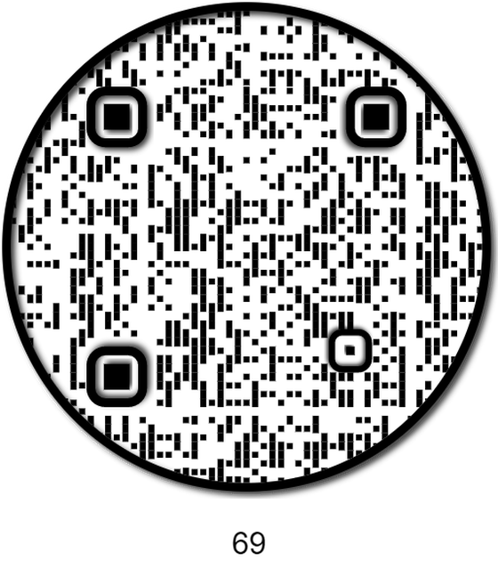 APE QR #69