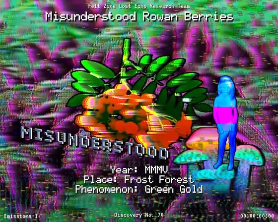 #70 | Misunderstood Rowan Berries