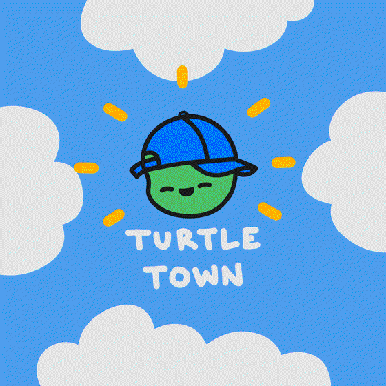 Turtle Town #3134