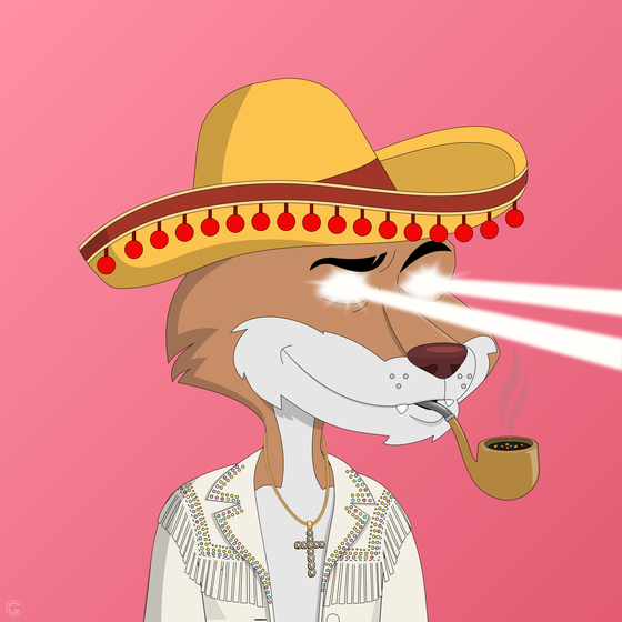 Billionaire Coyote #165