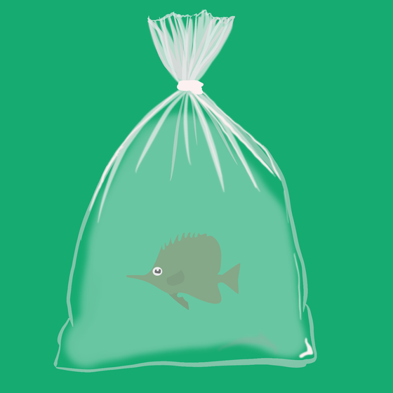 Feesh #1073