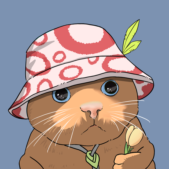 Puzzled cat #6929
