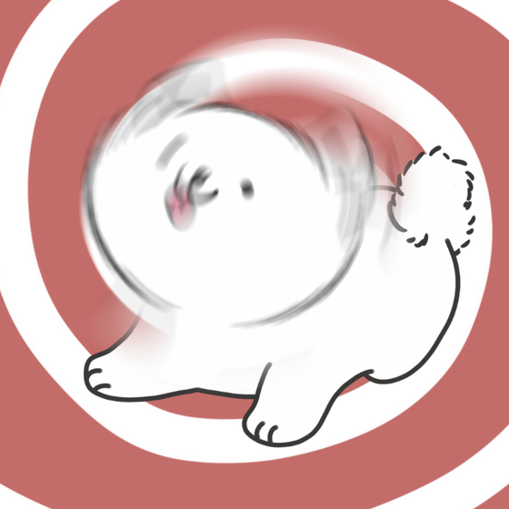 DogDrill#802