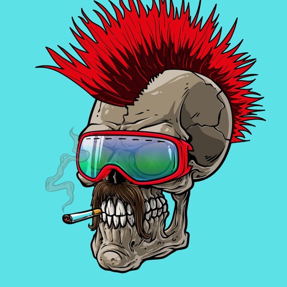 CrazySkull #1204