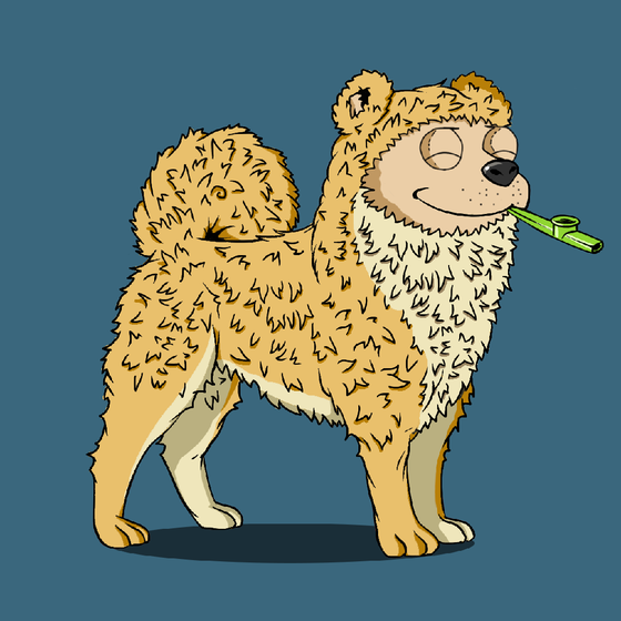 y00ts Canine Club #3820
