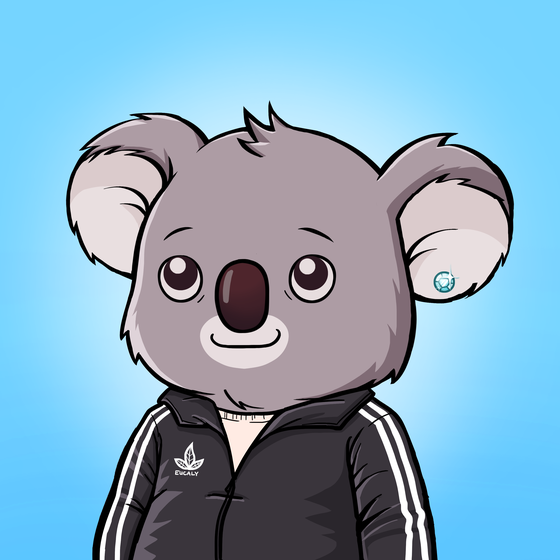 Koala Agent #53