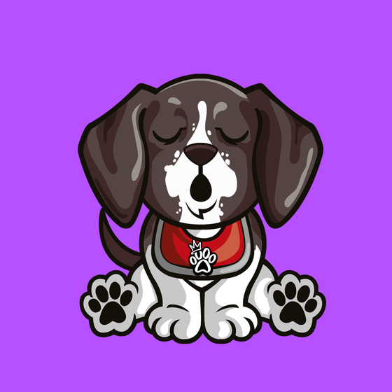 German Shorthaired Pointer 0580