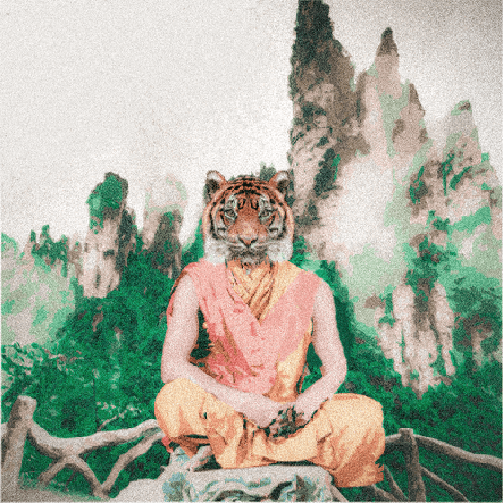 The Tiger