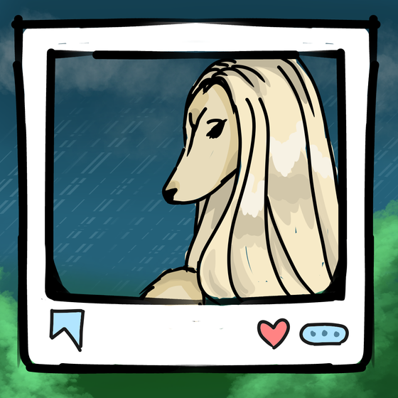 旅する犬 #672