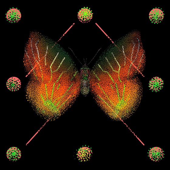 Monarch #423