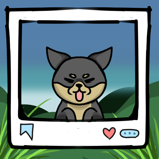 旅する犬 #916