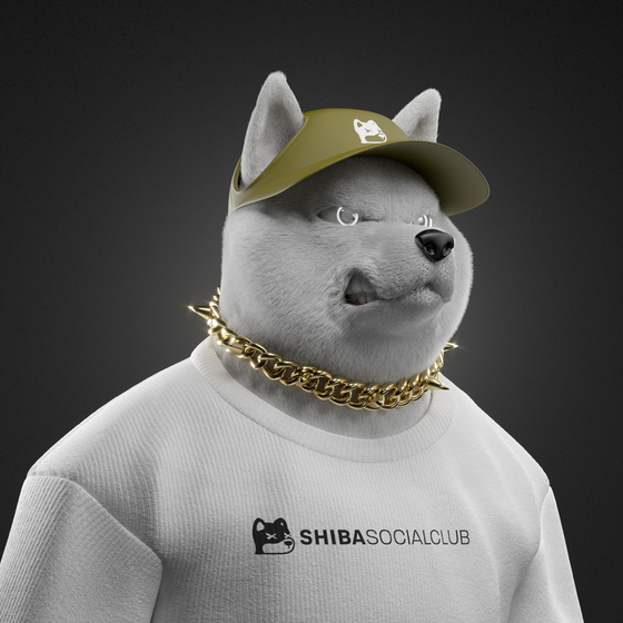 Shiba #4550