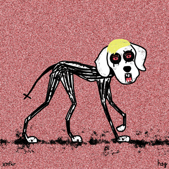 dog #1438