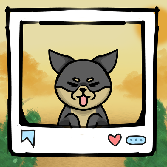旅する犬 #1000