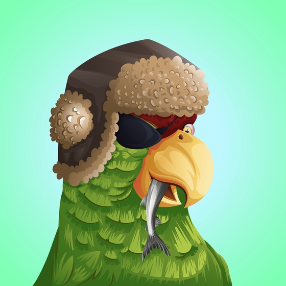 #112 Parrot