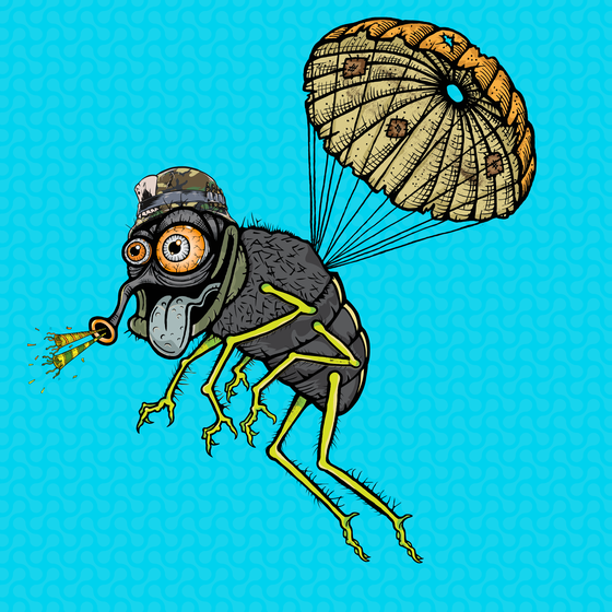 Funky Fly #2553