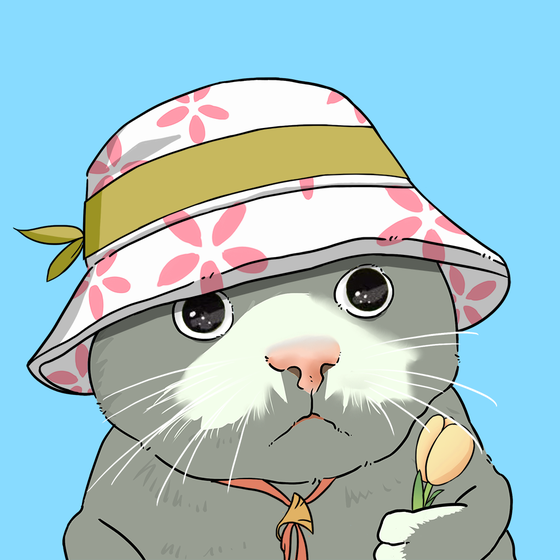 Puzzled cat #679