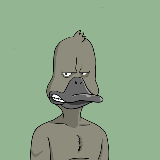 Duck #6224