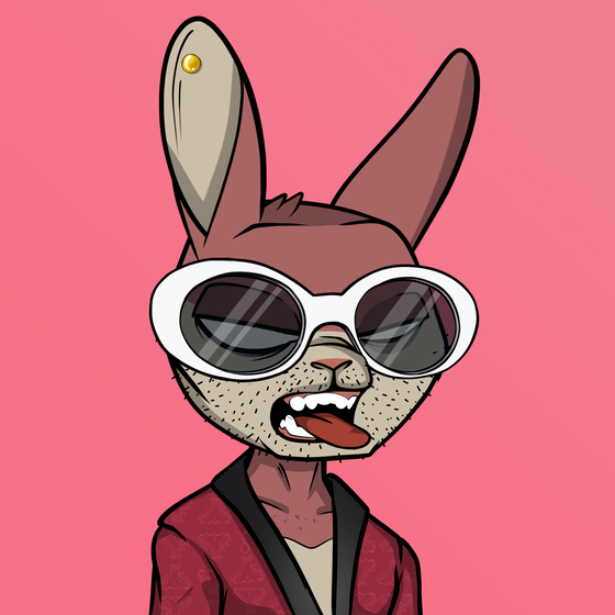 Mad Rabbit #6528