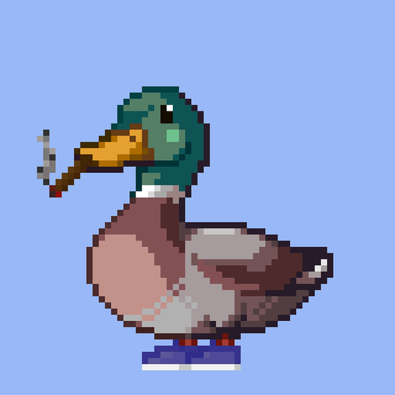 Mallard #2997