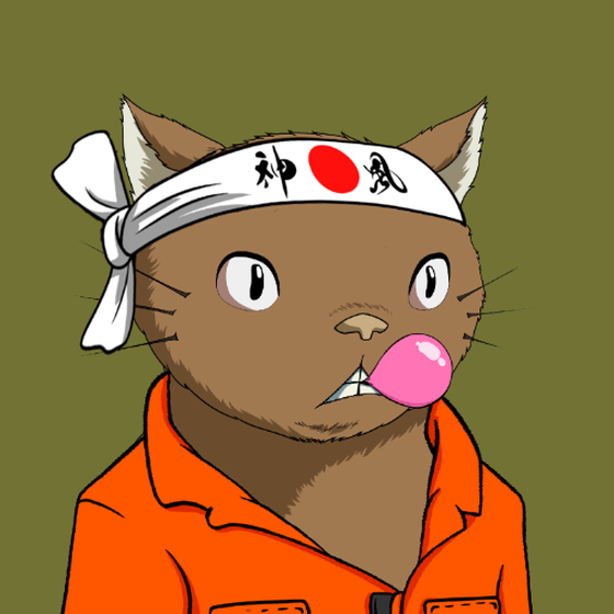 Kitaro Yacht Club #5196
