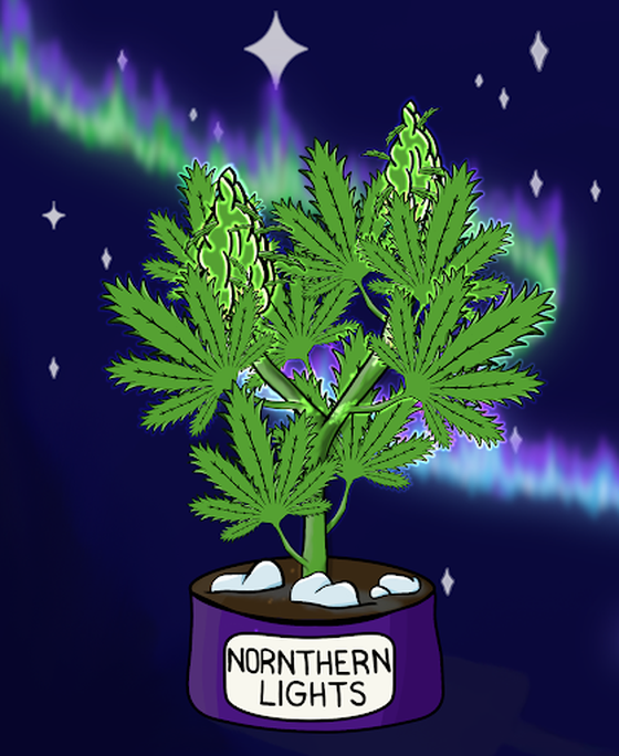 Northern Lights Silver