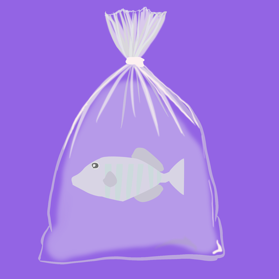Feesh #1095
