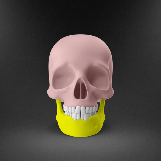 Skull #207