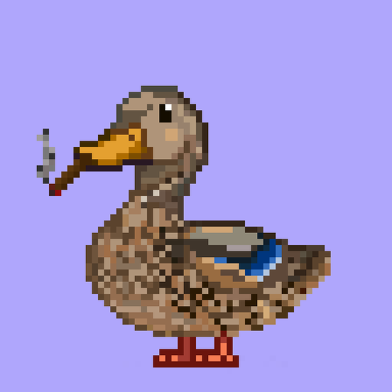 Mallard #1182