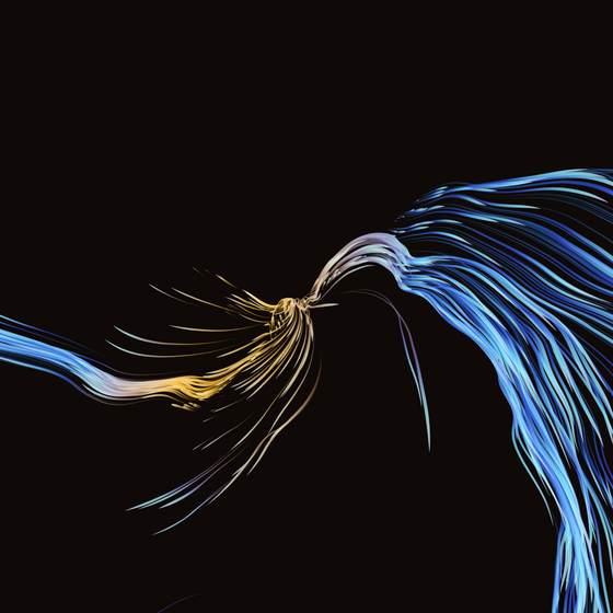Vortex #0