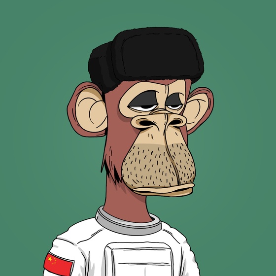 AES Ape #312