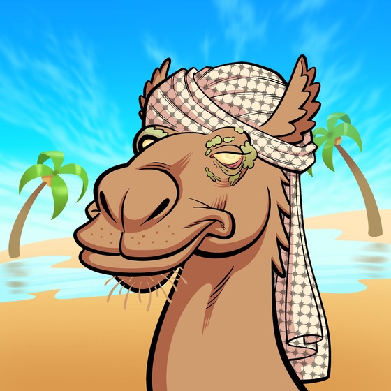 Arabian Camel #8378