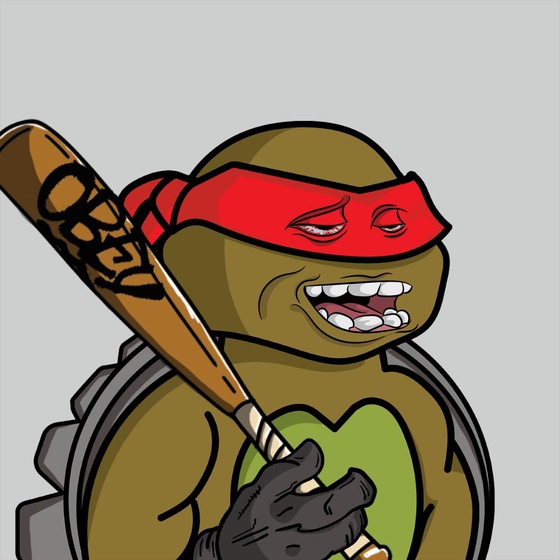 Degen Ninja Turtle #2362