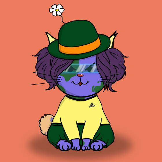 CaT #337