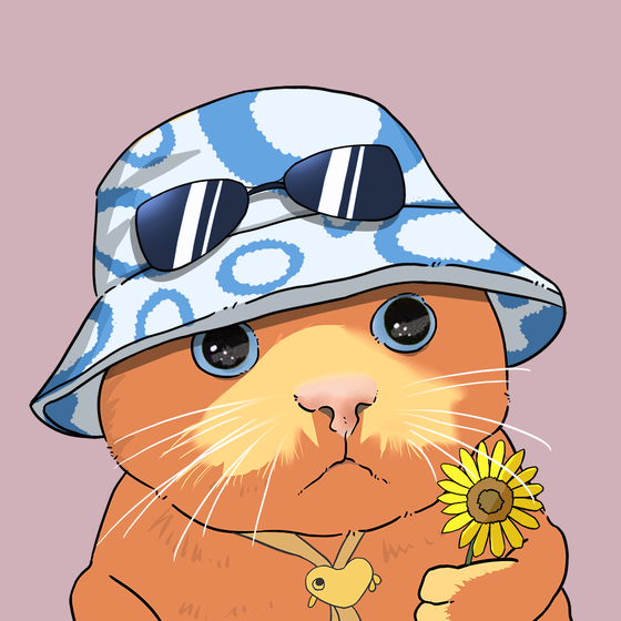 Puzzled cat #3624