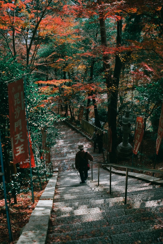 Alone in Kyoto #1