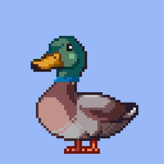 Mallard #5775